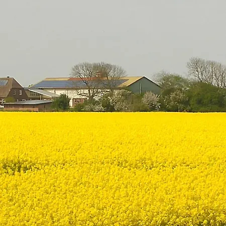 Thormaehlenhof *