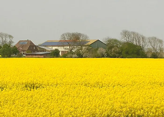 Appartamento Thormaehlenhof