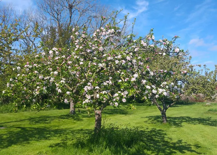 Appartamento Thormaehlenhof *