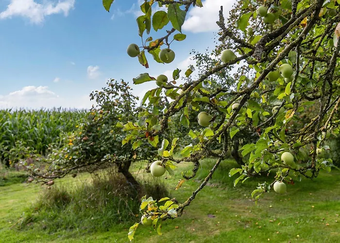 Thormaehlenhof Appartamento *